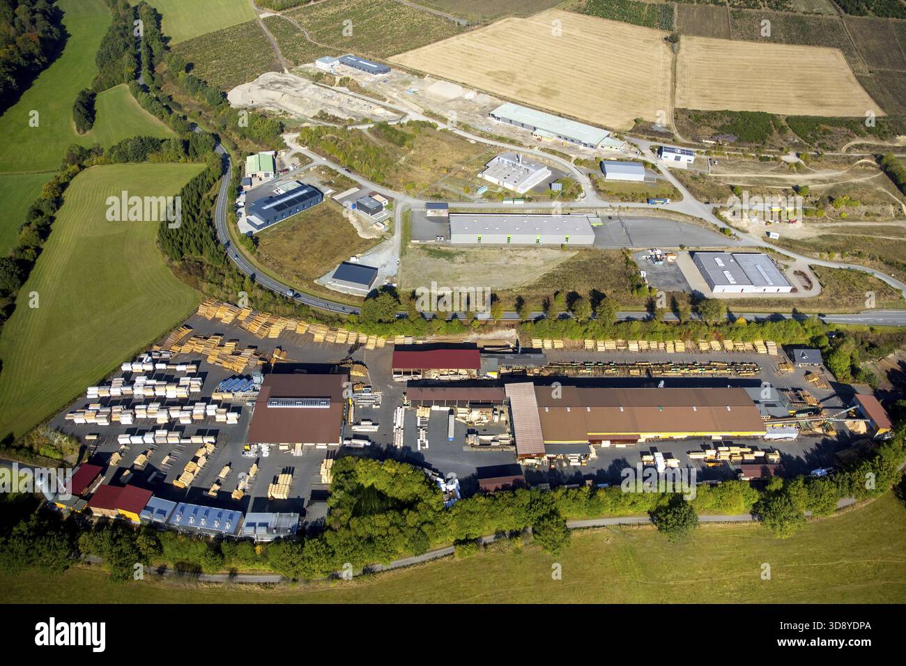 Saegewerk Dickel-Holz GmbH & Co. KG, Holzproduktion, Holzverarbeitung, Bad Fredeburg, Schmallenberg, Hochsauerland, Nordrhein-Westfalen, Deutschland, D Stockfoto