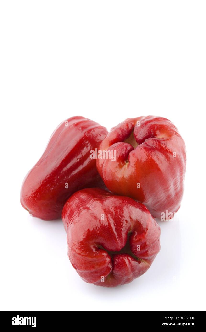 Thai Früchte der Rose Äpfel oder Chomphu auf weißem Hintergrund Stockfoto