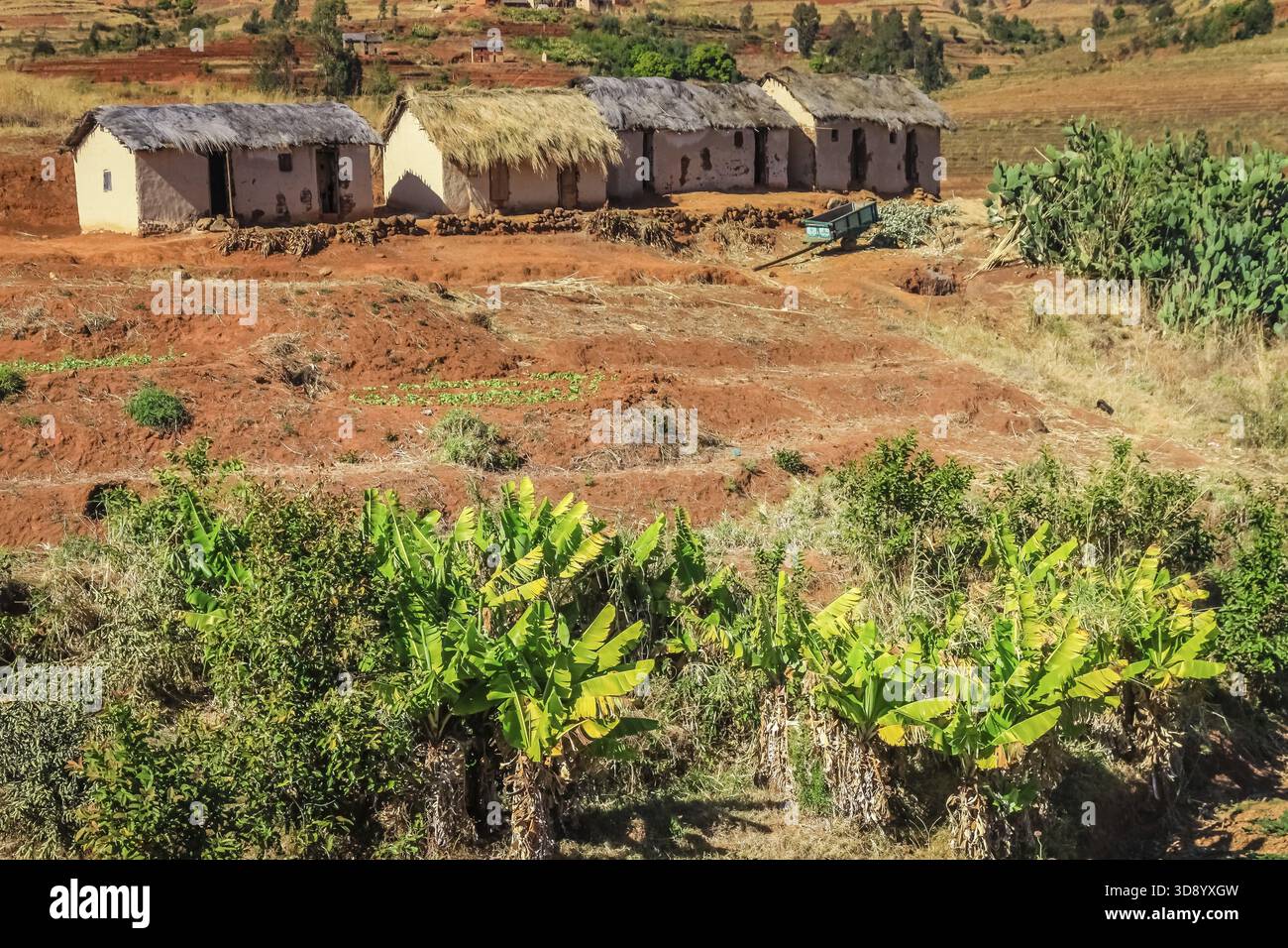 Reihe von vier primitive Hütten im Mittelland in Madagaskar Stockfoto