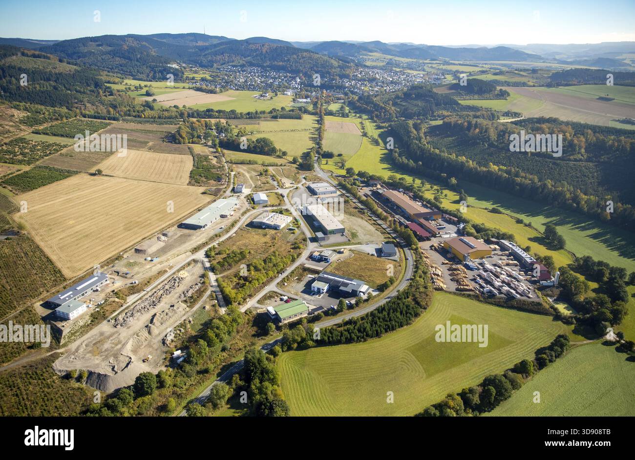 Saegewerk Dickel-Holz GmbH & Co. KG, Holzproduktion, Holzverarbeitung, Bad Fredeburg, Schmallenberg, Hochsauerland, Nordrhein-Westfalen, Deutschland, D Stockfoto