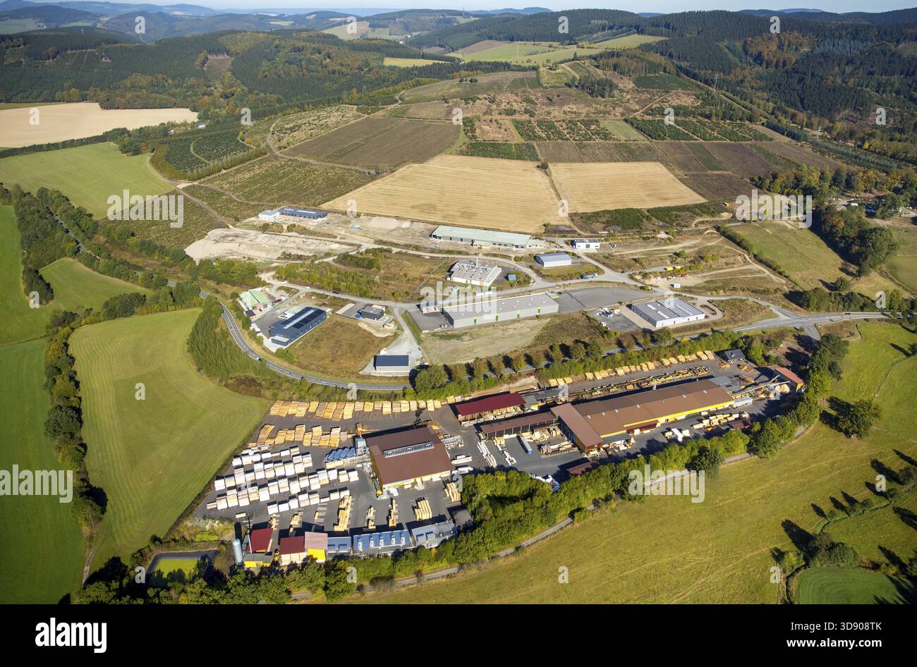 Saegewerk Dickel-Holz GmbH & Co. KG, Holzproduktion, Holzverarbeitung, Bad Fredeburg, Schmallenberg, Hochsauerland, Nordrhein-Westfalen, Deutschland, D Stockfoto