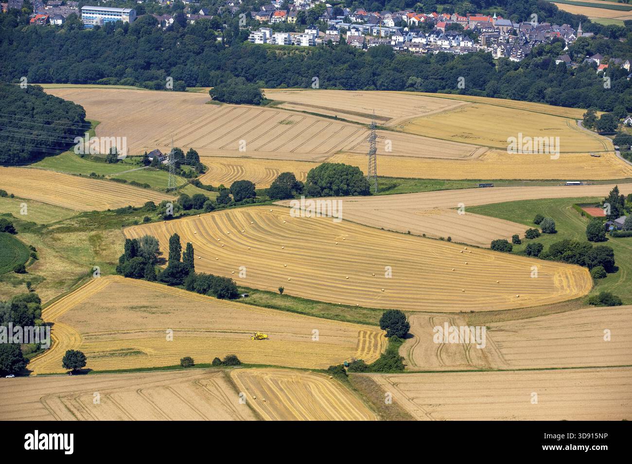 Erntezeit auf der Heiskampstraße zwischen Holthausen und Blankenstein, Mähdrescher, Landwirtschaft, Hattingen, Ruhrgebiet, Nordrhein-Westfalen Stockfoto