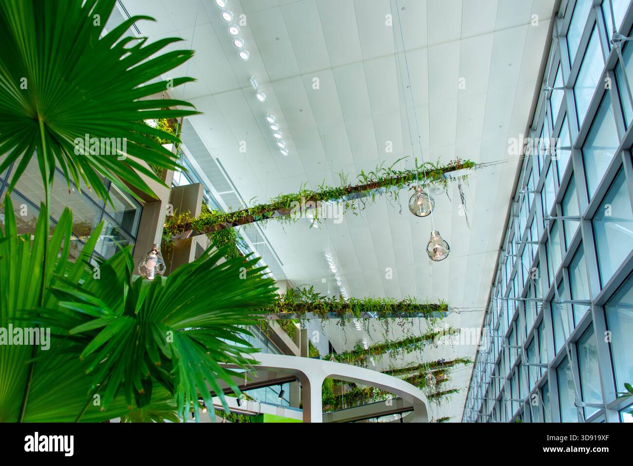 Lebende Wände mit grünen Pflanzen Stockfoto