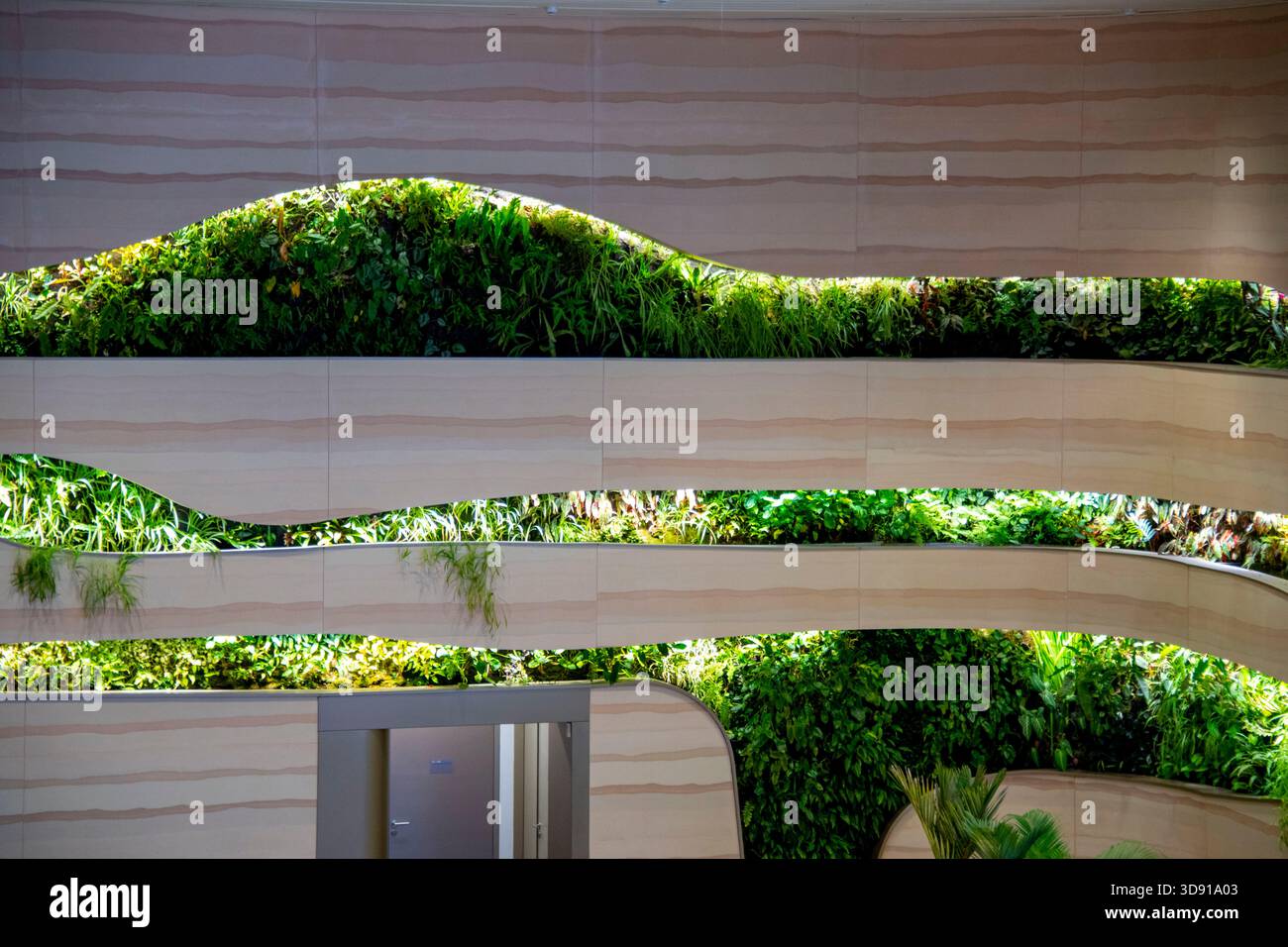 Lebende Wände mit grünen Pflanzen Stockfoto
