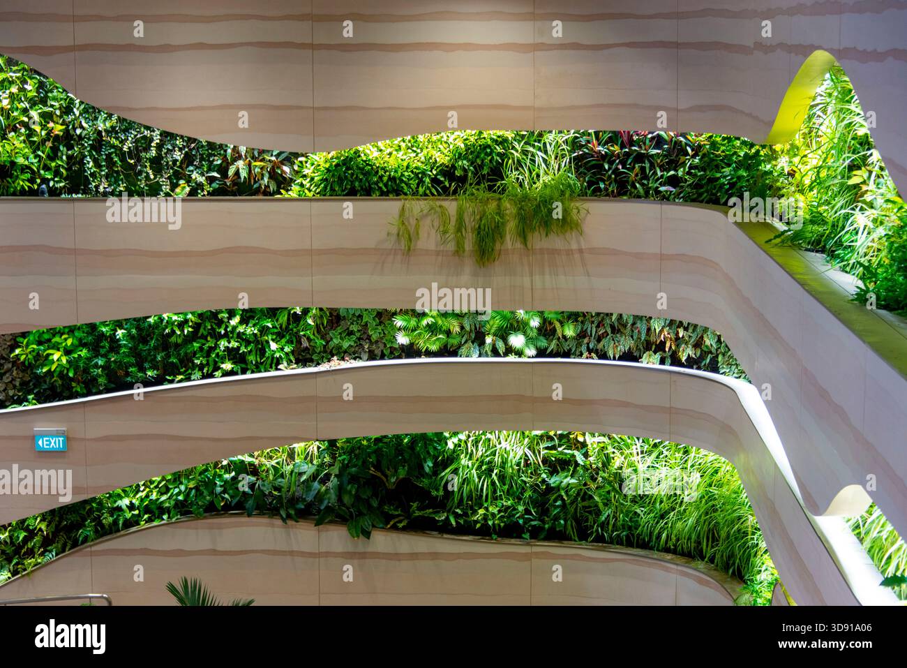 Lebende Wände mit grünen Pflanzen Stockfoto