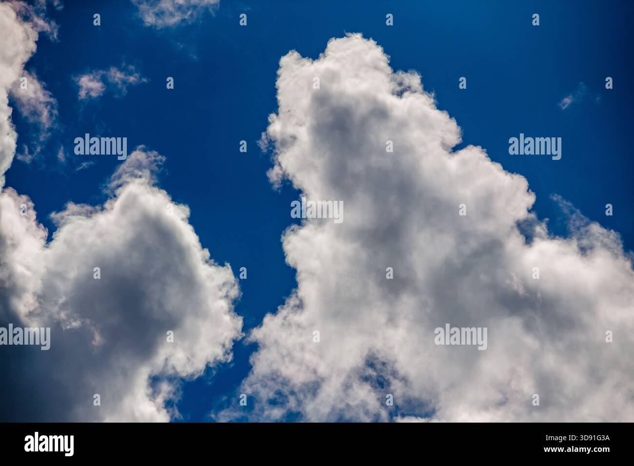 Eine klare, kontrastreiche Aufnahme brillant weißer und grauer Cumulus-Wolken, die sich vor einem auffallend tiefen und lebhaften blauen Himmel abheben. Die Kanten sind Scherben Stockfoto