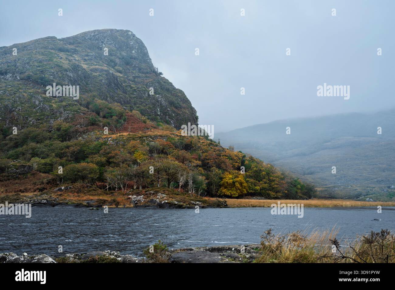 Moody Kerry Landschaft mit Eagle's Nest Mountain, herbstlichen Wäldern, dunklen Flussgewässern und zerklüftetem felsigem Vordergrund. Stockfoto