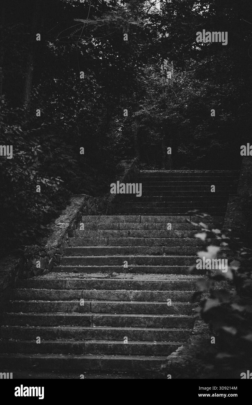 Parktreppe, Schwarzweißfoto Stockfoto
