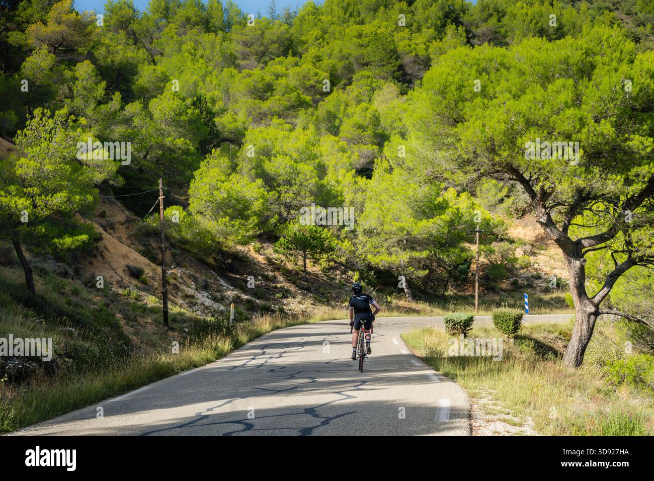 Straßenradfahrer, der den Col La Madeleine zwischen Beduin und Malaucene in der Provence, Frankreich, abfährt. Stockfoto