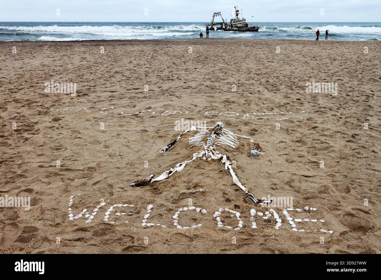 Vögel, die an einem bewölkten grauen Tag an der Skeleton Coast in Namibia, Afrika, rostige Schiffswracks erobern Stockfoto