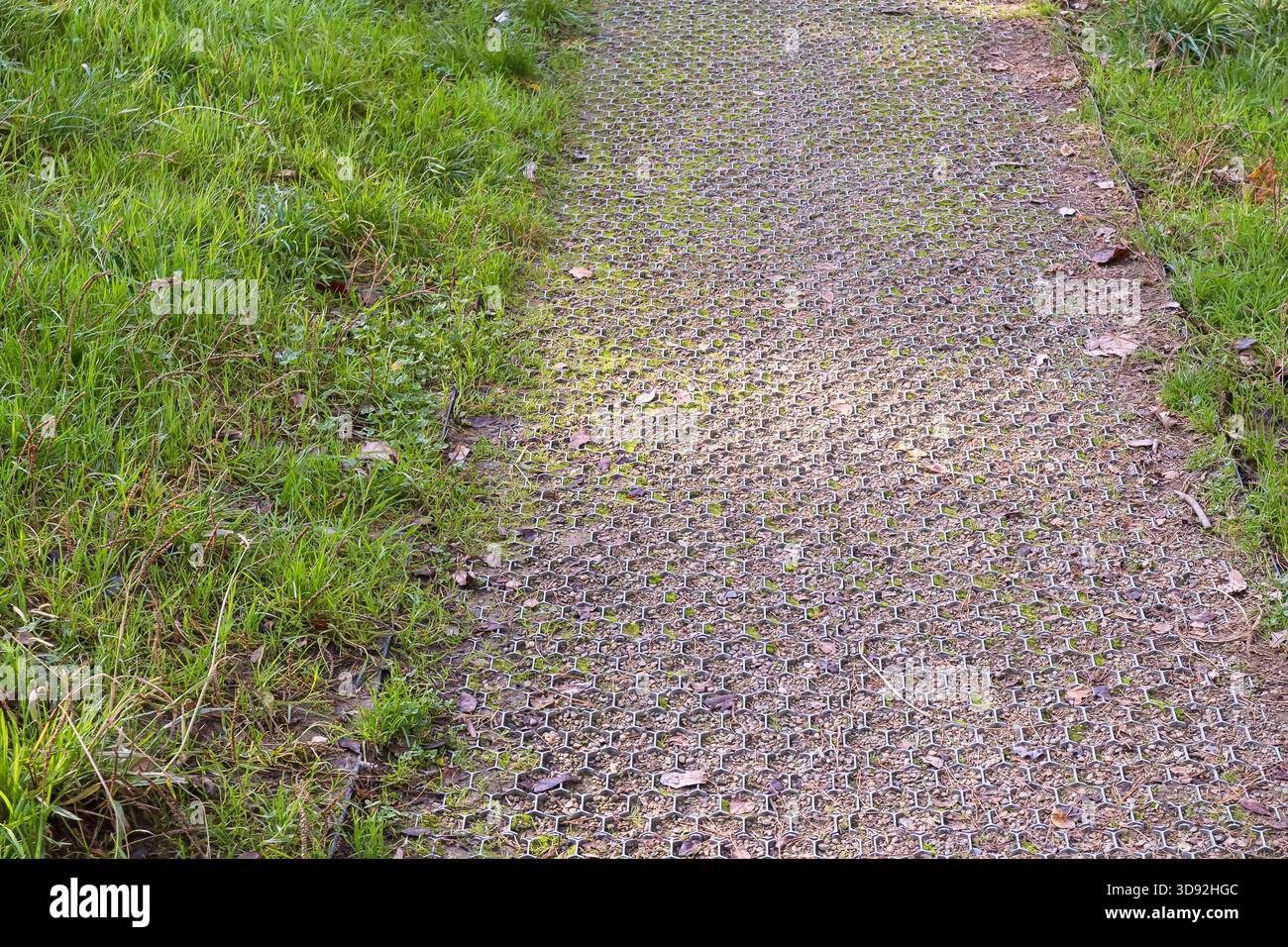 Ansicht von oben auf eine rasterbasierte Wegoberfläche in einem grasbewachsenen Parkgelände mit natürlicher Integration und Schatten Stockfoto