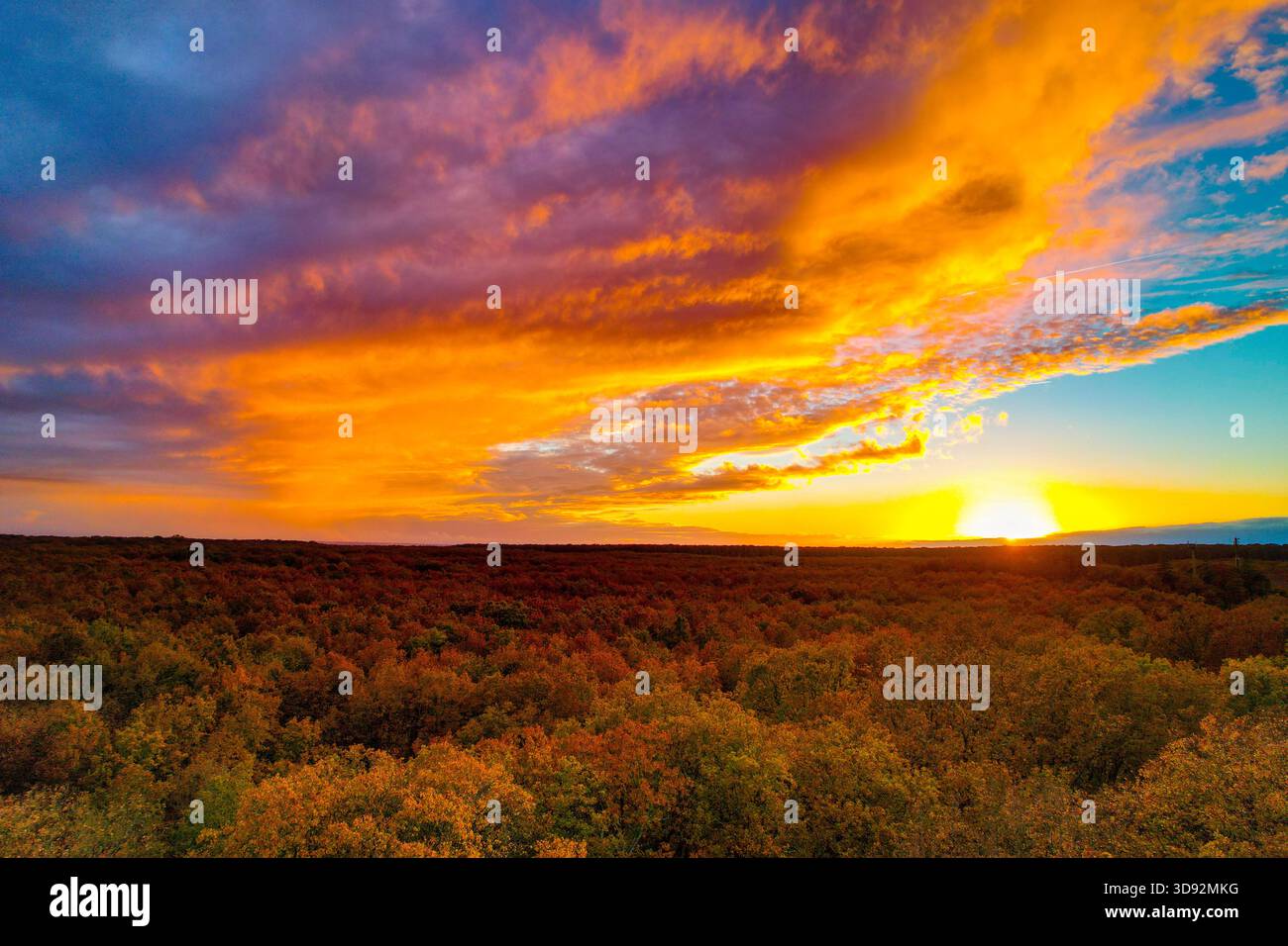 Coucher de soleil flamboyant sur une forêt d’automne – vue aérienne par Drohne Stockfoto