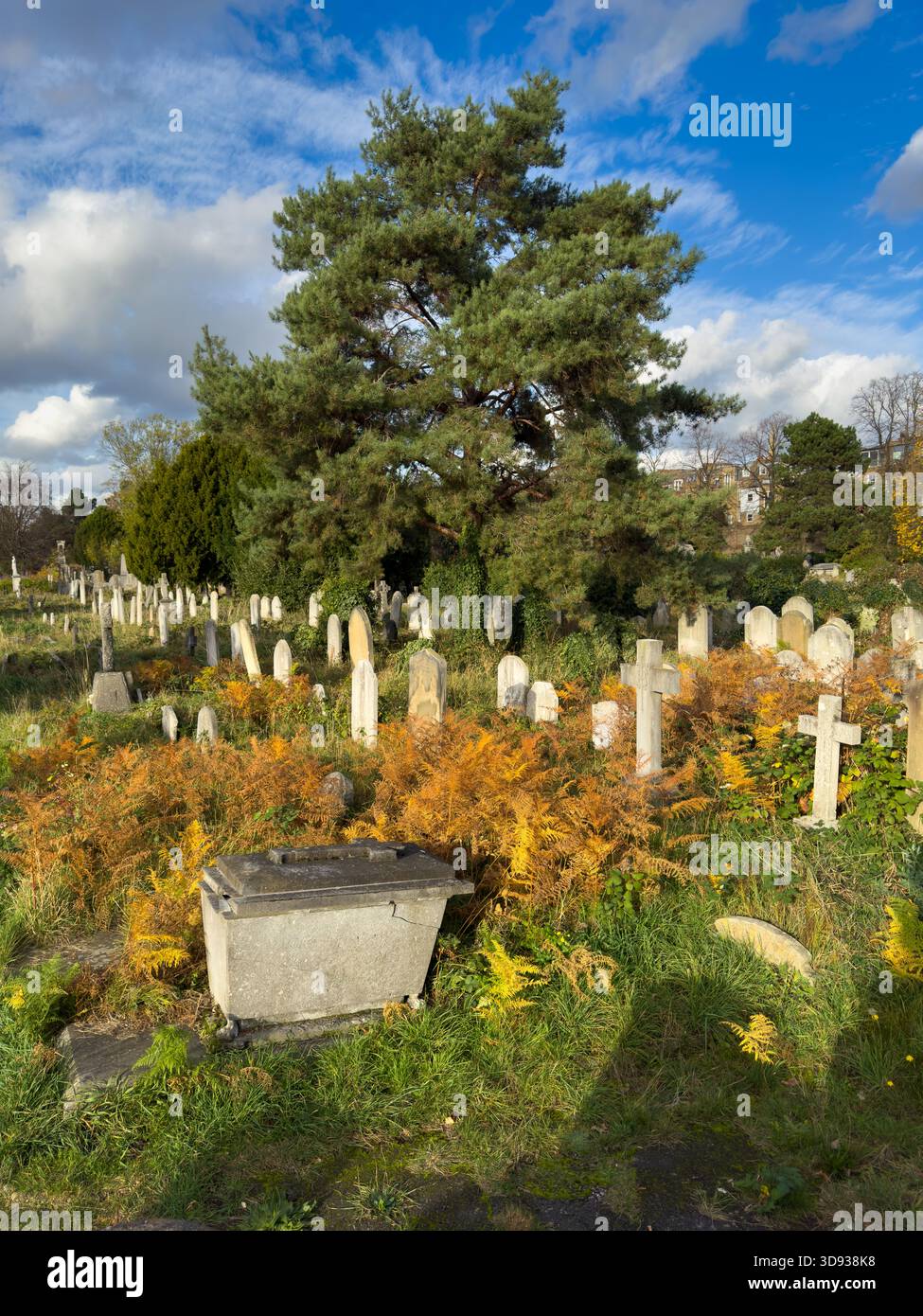 Ein sonniger Blick auf viktorianische Gräber und einen großen Baum umgeben von Bracken auf dem Brompton Cemetery. London. UK Stockfoto