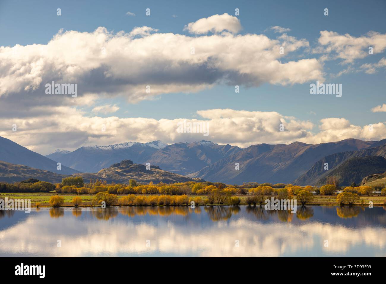 Herbstliches Laub am Ufer des Lake Wanaka in der Glendhu Bay, Südinsel, Neuseeland. Herbst (Mai) 2025. Stockfoto