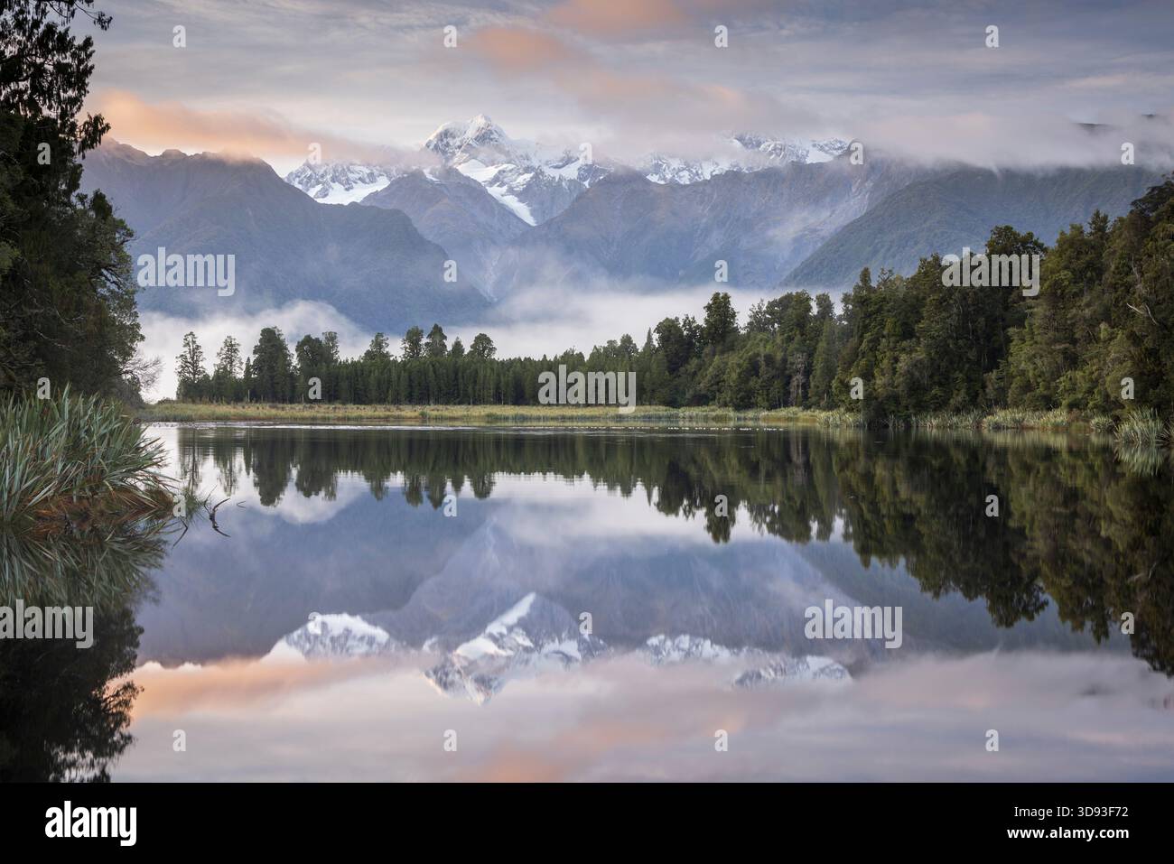 Mount Tasman spiegelt sich im Lake Matheson bei Sonnenaufgang an einem nebeligen Morgen, Westküste, Südinsel, Neuseeland. Herbst (Mai) 2025. Stockfoto