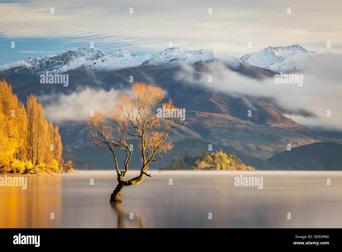 Der einsame Baum an einem wunderschönen Herbstmorgen am Lake Wanaka, Otago, Südinsel, Neuseeland. Herbst (Mai) 2025. Stockfoto