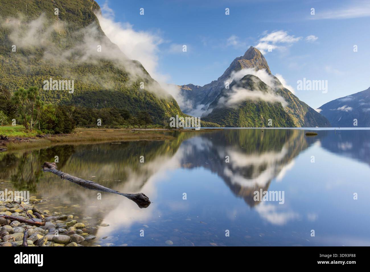 Mitre Peak reflektiert im Milford Sound an einem ruhigen, sonnigen Morgen, Fiordland National Park, Südinsel, Neuseeland. Herbst (Mai) 2025. Stockfoto