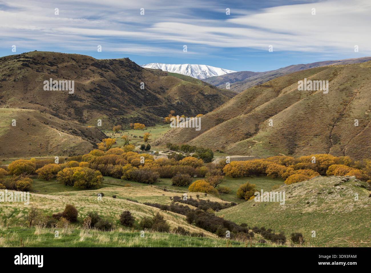 Cluden Creek im Lindis Valley, Central Otago, South Island, Neuseeland. Herbst (Mai) 2025. Stockfoto
