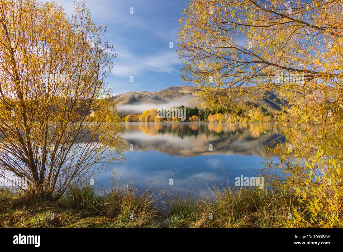 Herbstliches Laub am Ufer von Wairepo Arm bei Twizel, Canterbury, Südinsel, Neuseeland. Herbst (Mai) 2025. Stockfoto