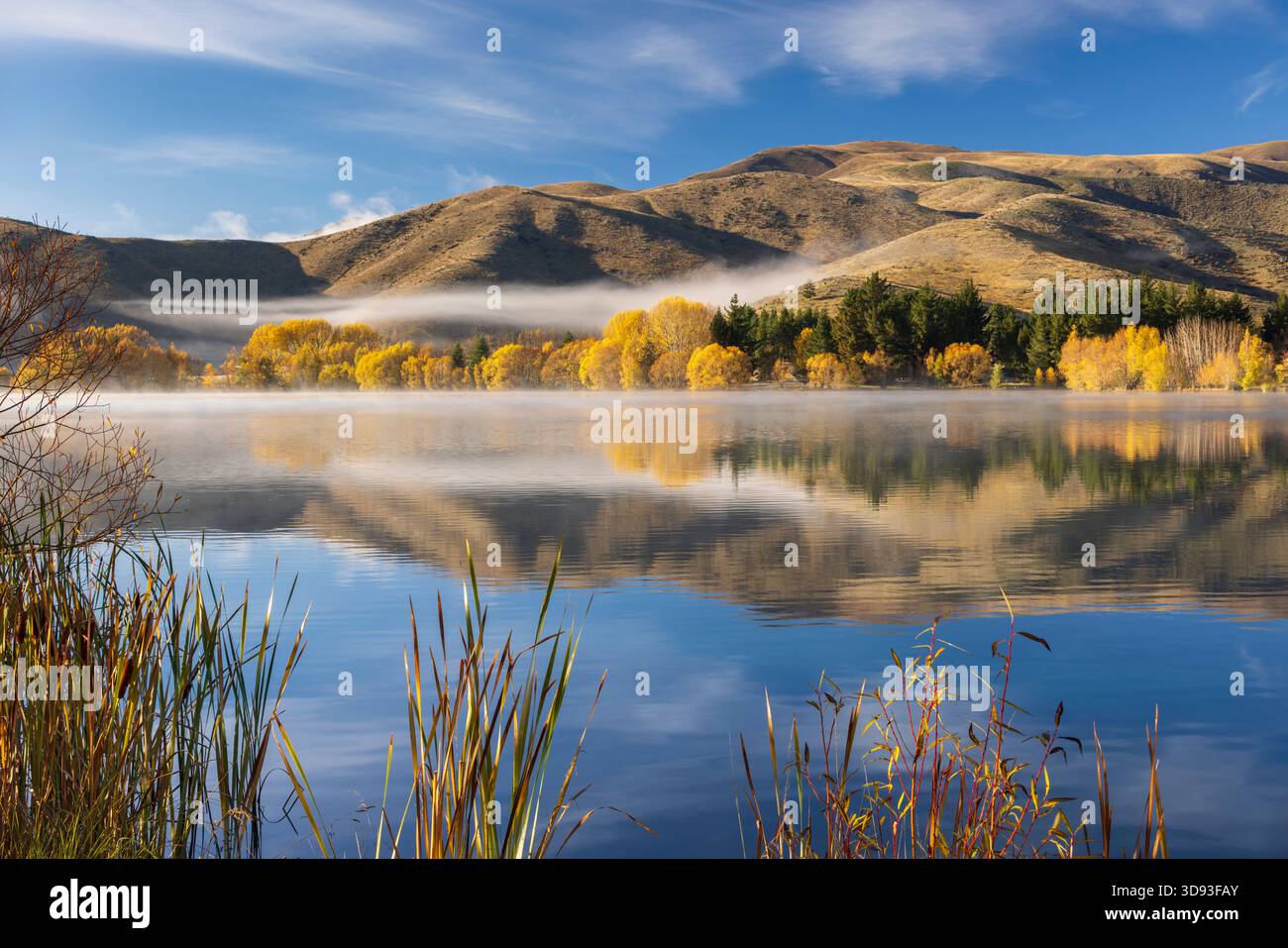 Spektakuläre herbstliche Farben am Ufer von Wairepo Arm in der Nähe von Twizel auf Südinsel, Neuseeland. Herbst (Mai) 2025. Stockfoto