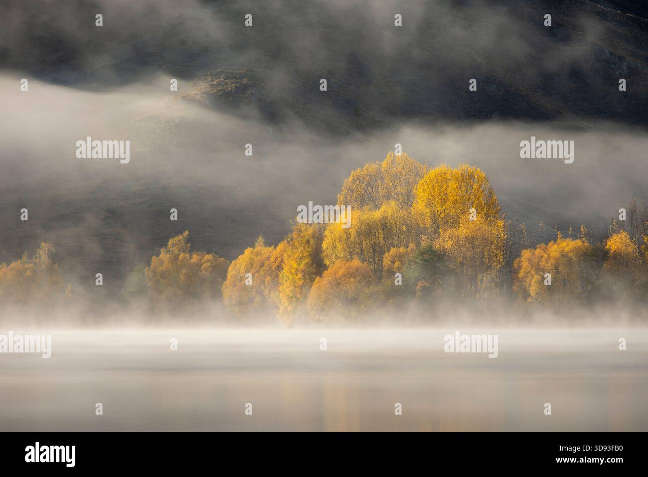 Herbstlaub am Ufer des Wairepo Arm in Mackenzie Country, Canterbury, Südinsel, Neuseeland. Herbst (Mai) 2025. Stockfoto