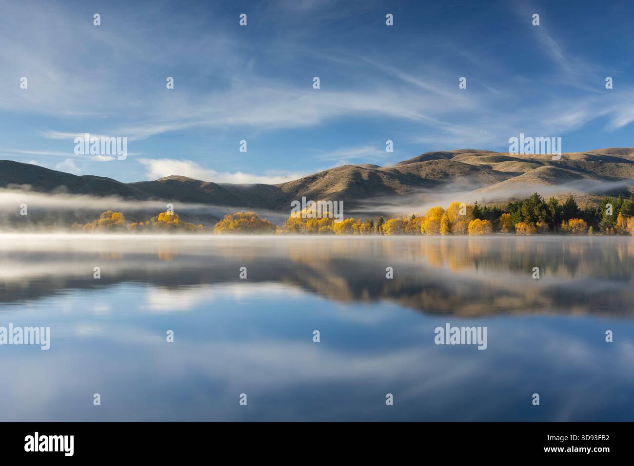 Spektakuläre herbstliche Farben am Ufer von Wairepo Arm in der Nähe von Twizel auf Südinsel, Neuseeland. Herbst (Mai) 2025. Stockfoto