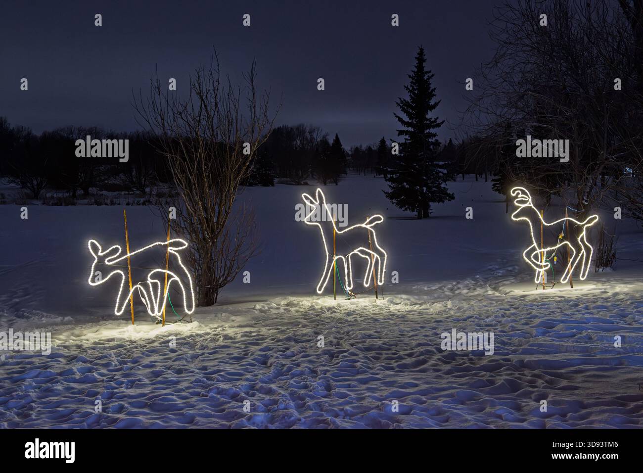 Weihnachten wird auf dem Festival of Lights, Confederation Park, Calgary, Alberta Canada, gezeigt Stockfoto