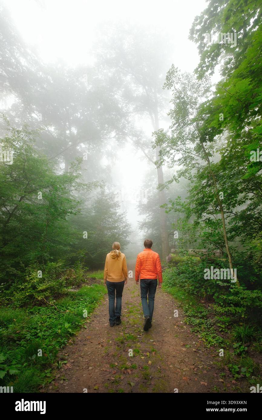 Mann und Frau gehen auf einem Pfad im Wald bei Nebel, vertikal Stockfoto