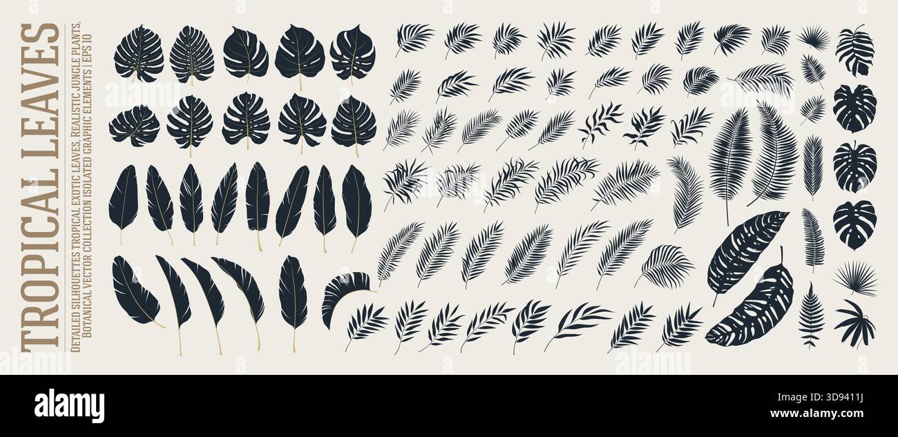 Detaillierte Silhouetten tropisches Grün exotische Blätter, realistische natürliche Dschungelpflanzen Zweige, Botanical of Green Forest Farn Vector Assets Collectio Stock Vektor