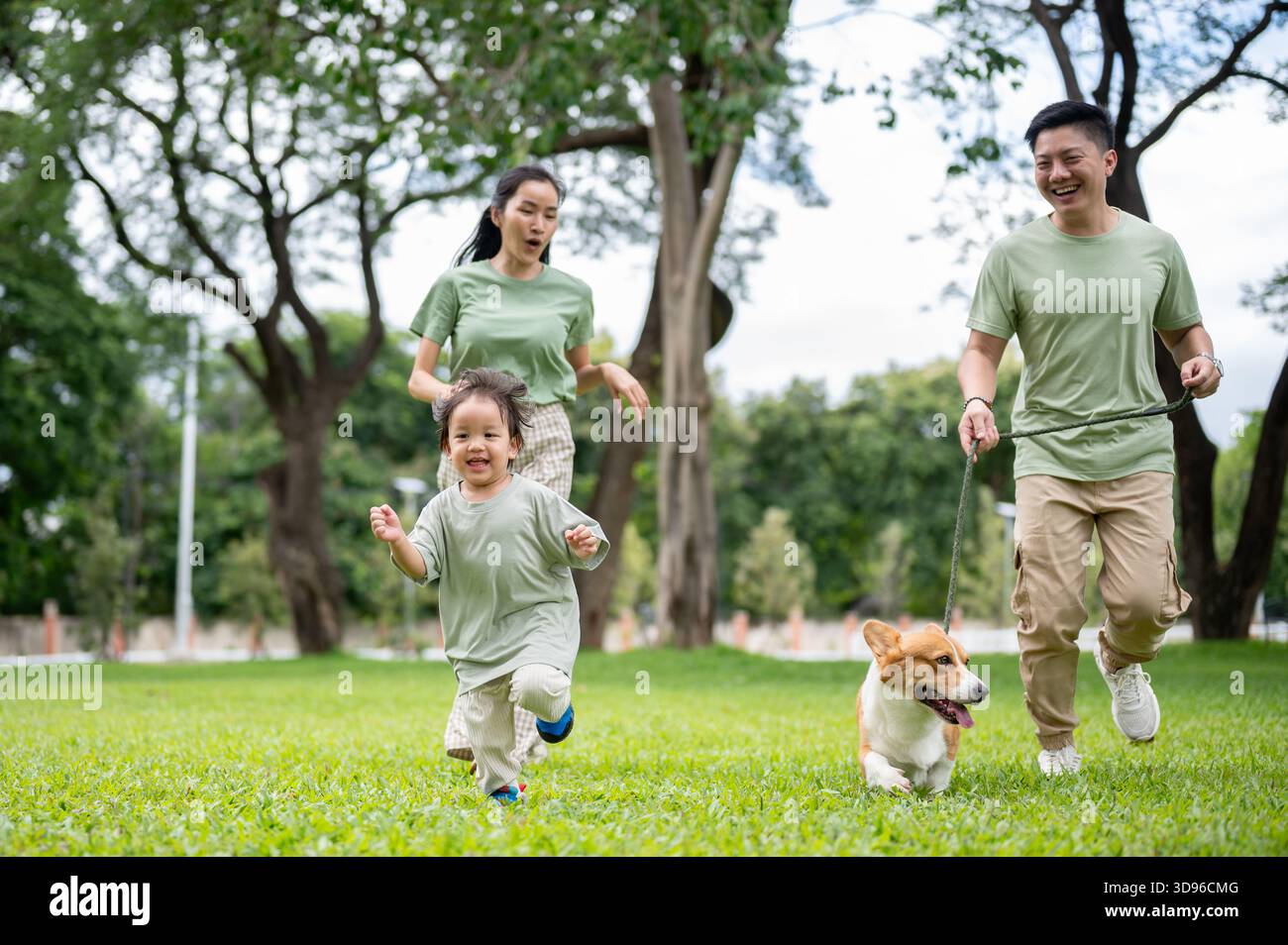Lächelnder Vater hält eine Leine an Corgi-Welpen, während er mit Mutter und Sohn im Park spaziert oder Alongs läuft. Eltern und Kinder, Hund, Familienausflug Stockfoto
