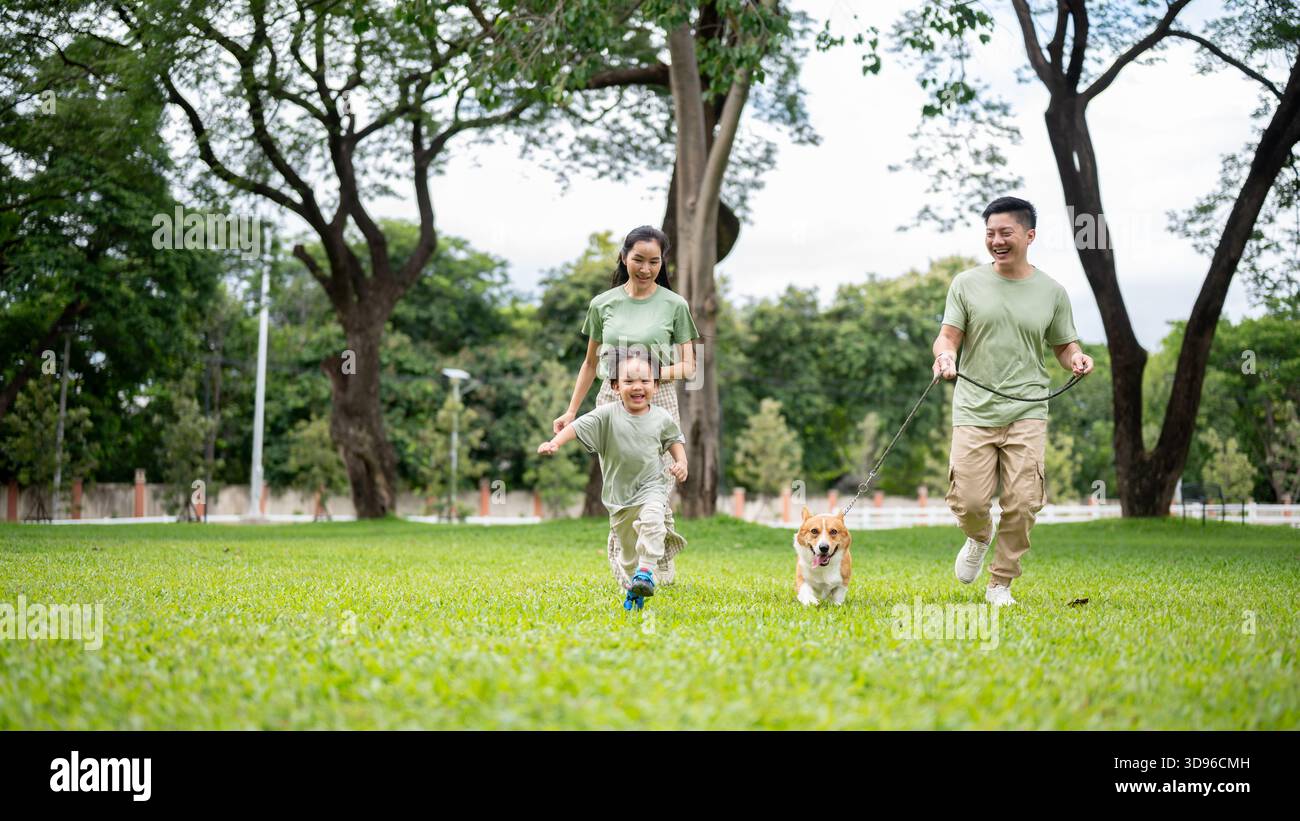 Lächelnder Vater hält eine Leine am Corgi-Welpen, während er spaziert oder läuft, Mama und Sohn auf Gras im Park. Eltern und Kinder, Hund, Familienausflug. Stockfoto