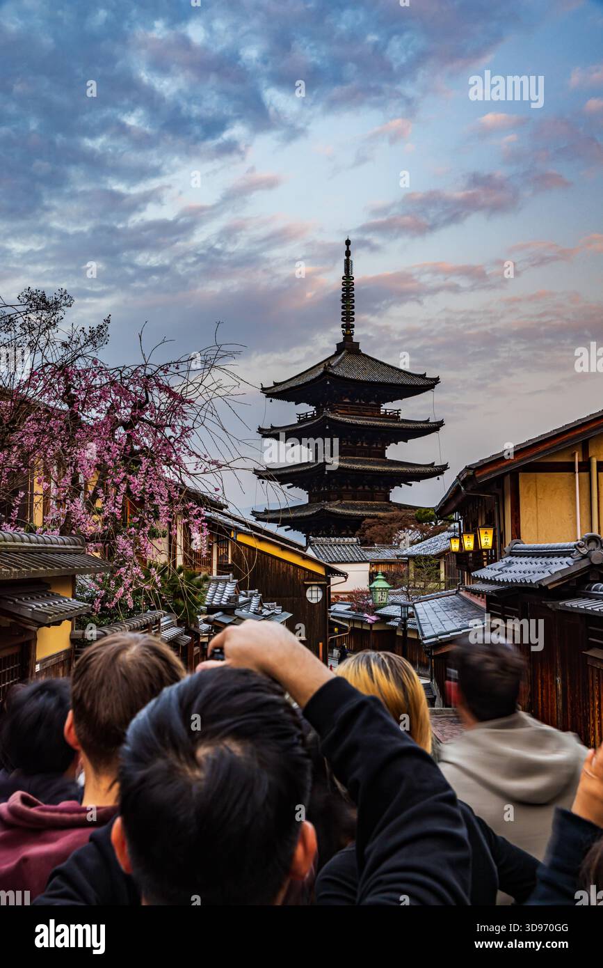 Kyoto: Fünfstöckige Pagode und Kirschblüten Stockfoto