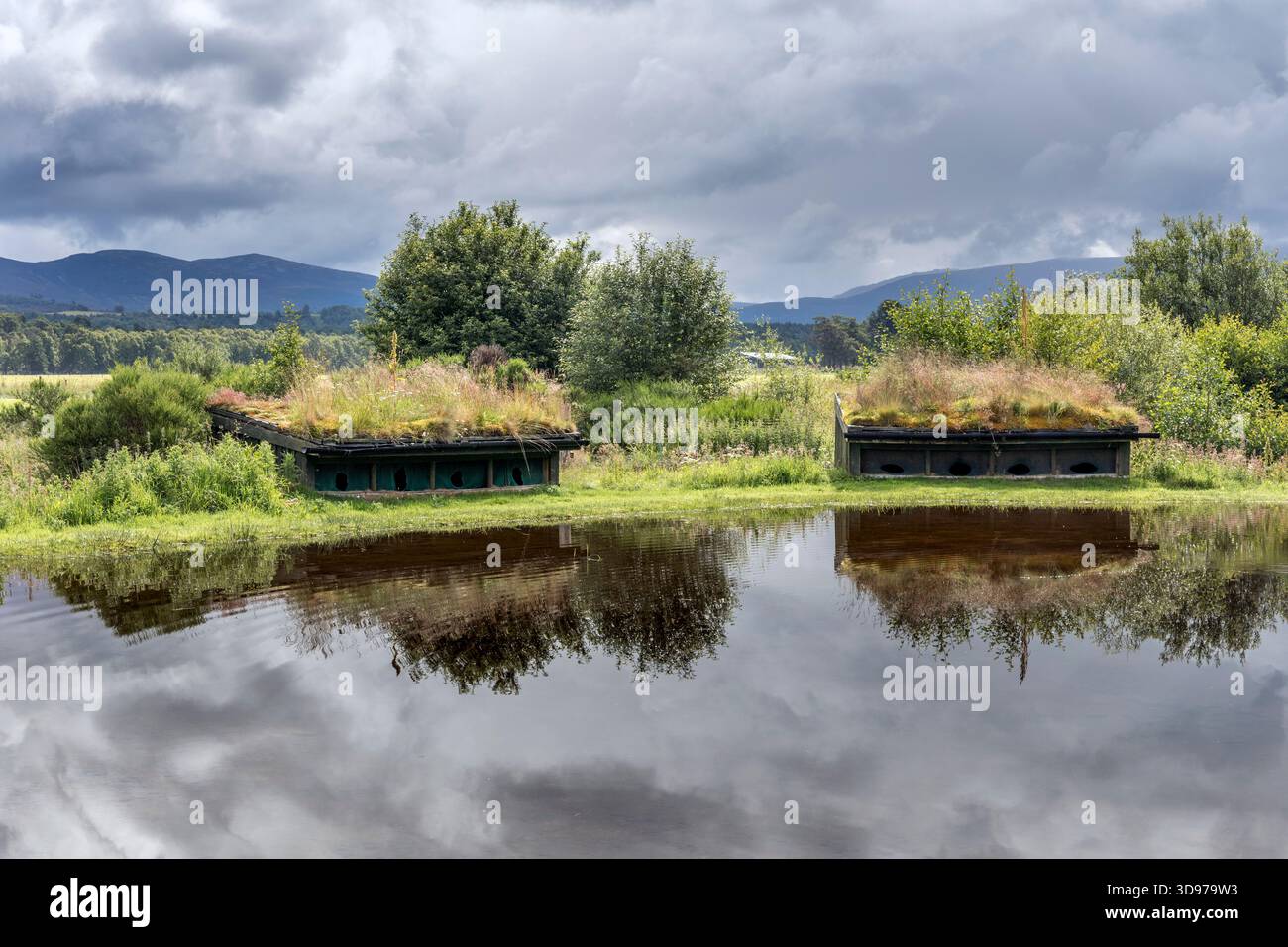 Rothiemurchus Fish Farm; Schottland; Vereinigtes Königreich Stockfoto