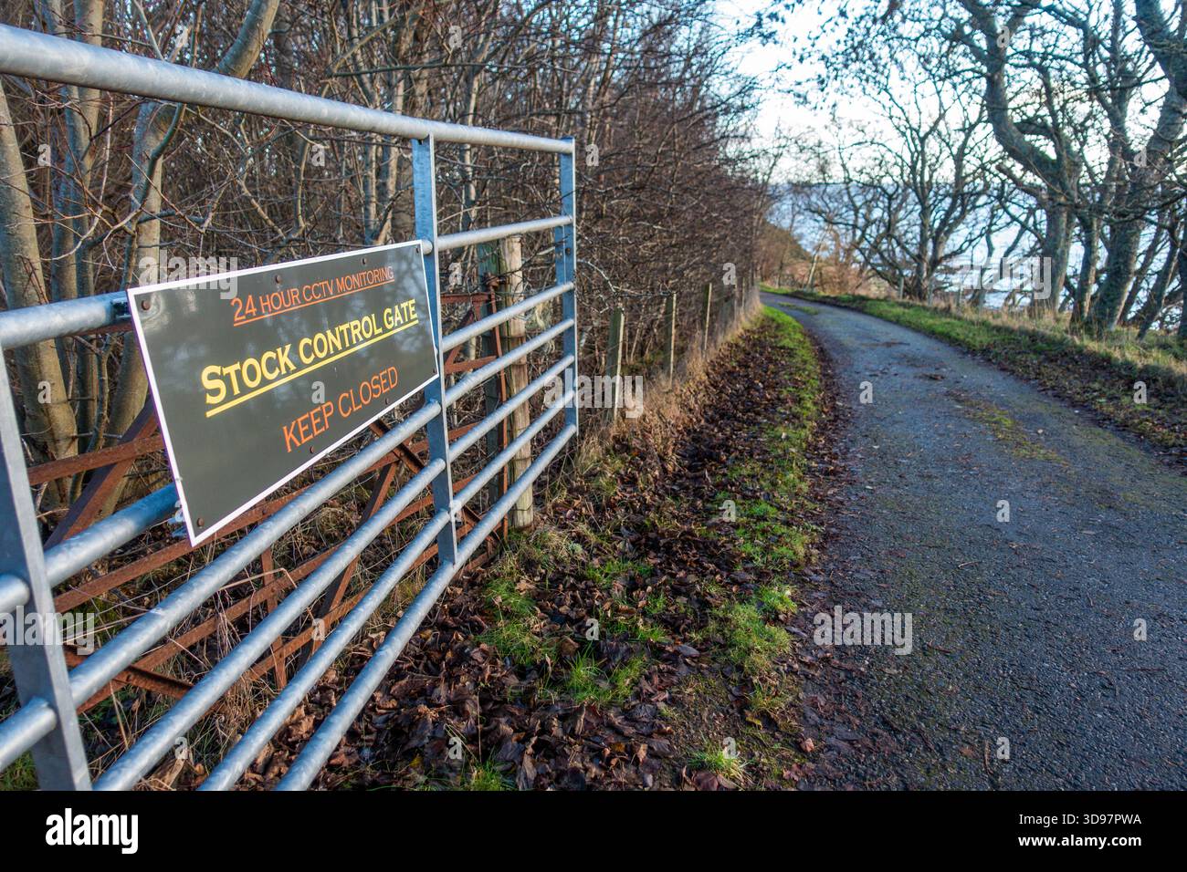 Stock Control Gate zur Kontrolle von Nutztieren Stockfoto