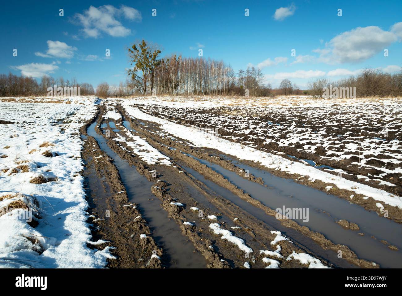 Eine matschige Feldstraße und schmelzender Schnee auf einem ländlichen Feld an einem sonnigen Wintertag in Zarzecze, Ostpolen Stockfoto