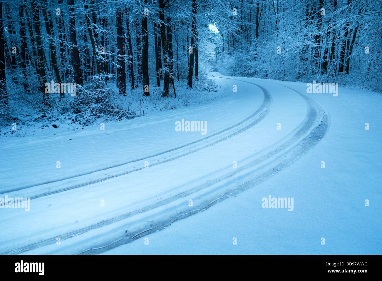 Reifenspuren auf der mit Schnee bedeckten Straße im Wald, Nowiny, Ostpolen Stockfoto