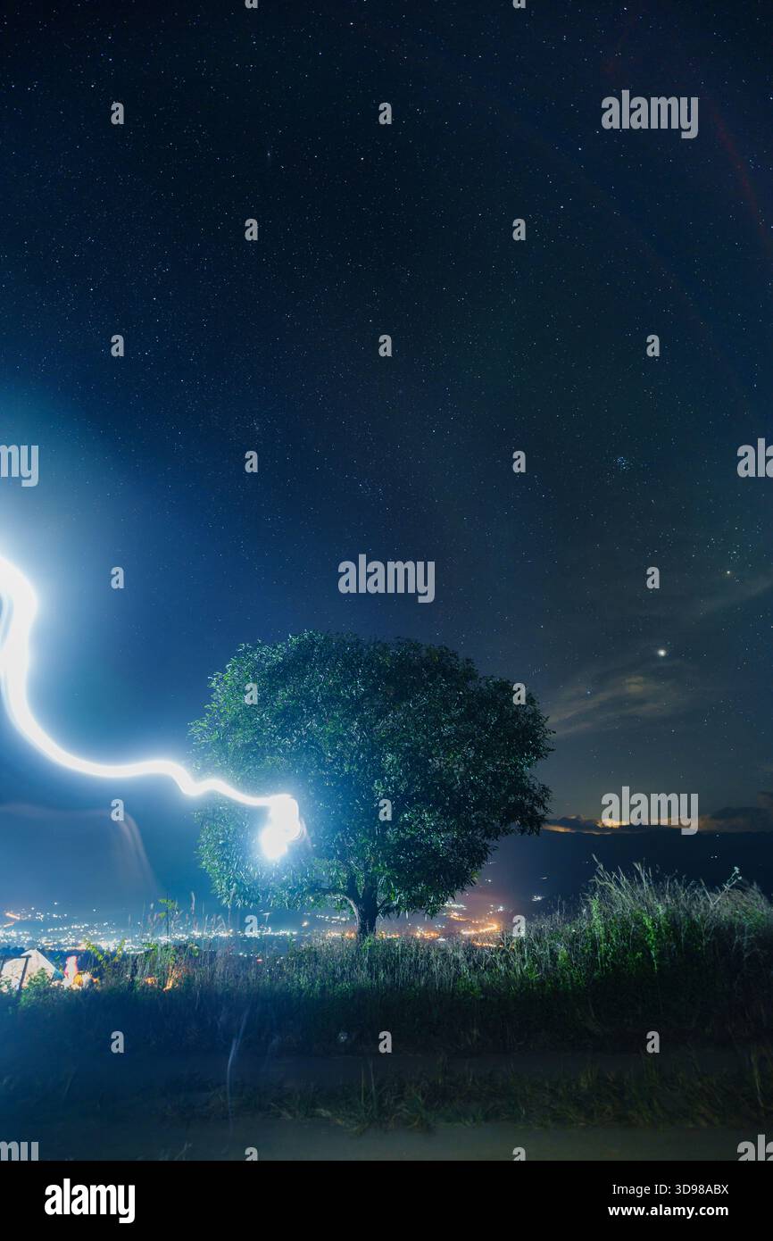 Einzelner Baum mit Lichtmalerei unter Sternenhimmel und Stadtlicht darunter Stockfoto