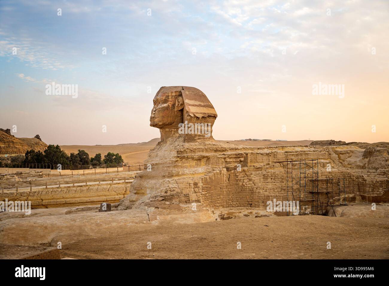 Die Sphinx in Gizeh Pyramide komplexe bei Sonnenuntergang Stockfoto