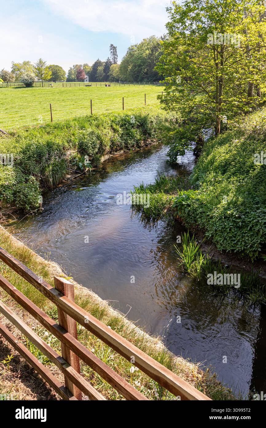 Der junge River Chelt in Boddington, Gloucestershire, England, Großbritannien Stockfoto
