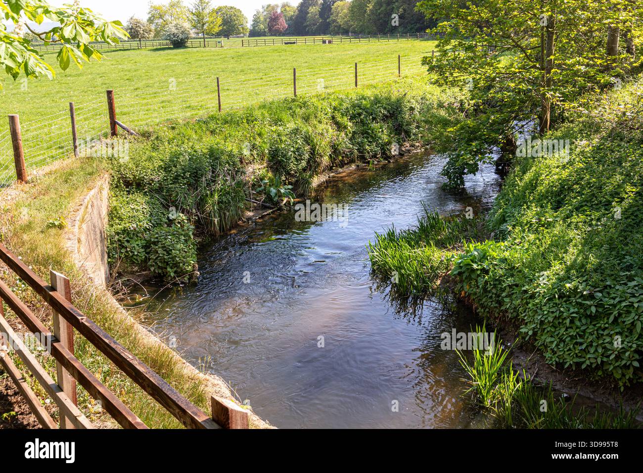 Der junge River Chelt in Boddington, Gloucestershire, England, Großbritannien Stockfoto