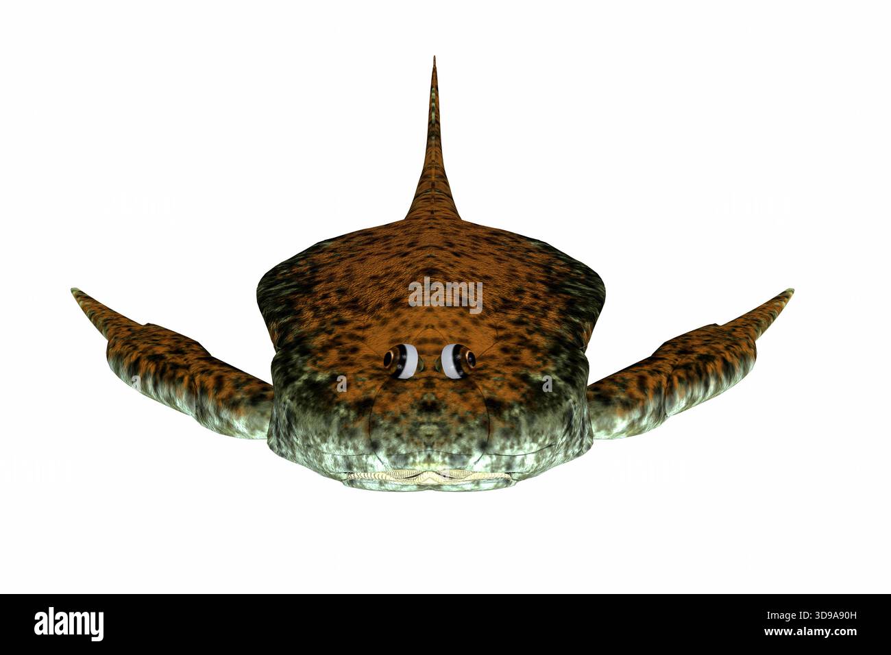 Bothriolepis wurde eine aquatische placoderm Fische, die während der devonzeit im Süßwasser und in der Nähe der Ufer marine Umgebungen lebten. Stockfoto