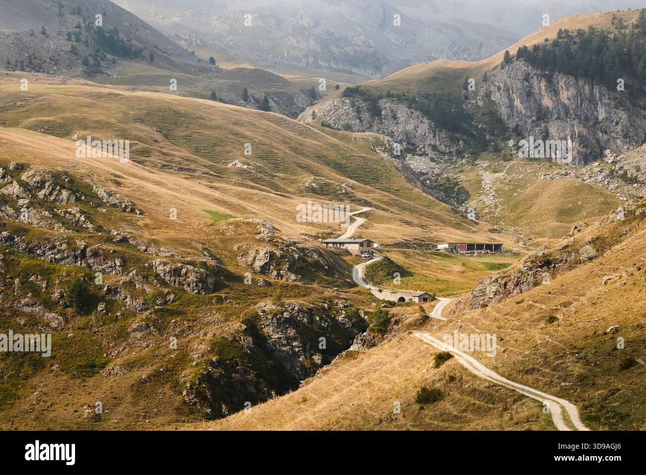 Ein Pfad, der sich durch hohe Weiden in den italienischen Alpen schlängelt. Val Maira, Cuneo Provence, Piemont. Stockfoto