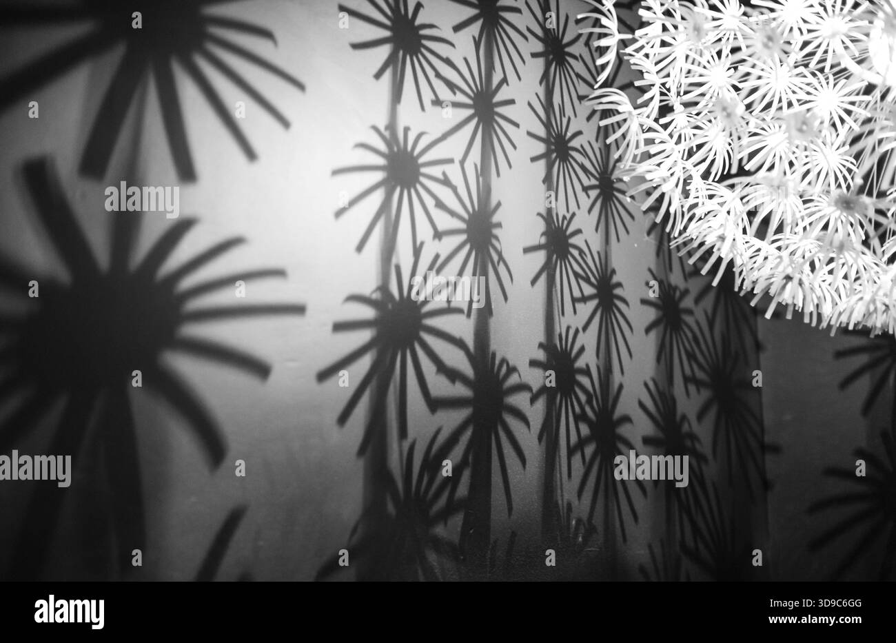 Eine abstrakte Licht Schatten und Dekorationen Stockfoto