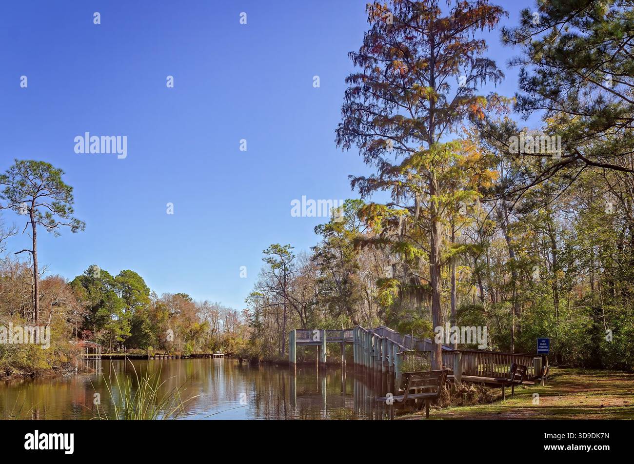 Saraland, Alabama, USA - 12. November 2025: Der Walter V. Cofield City Park verfügt über einen Angelsteg und eine Bootsanlegestelle am Bayou Sara in Saraland, Alabama. Stockfoto