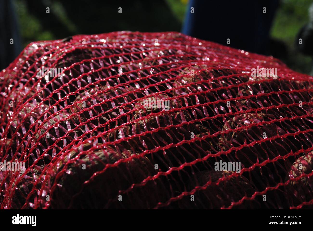 Nüsse in einem roten Nylonsack Stockfoto