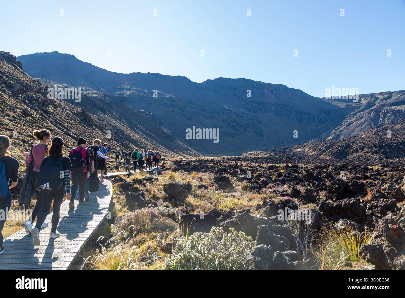 Am frühen Morgen beginnen junge Wanderer den Tongariro Alpine Crossing Walk, Tongariro National Park, Nordinsel, Neuseeland Stockfoto