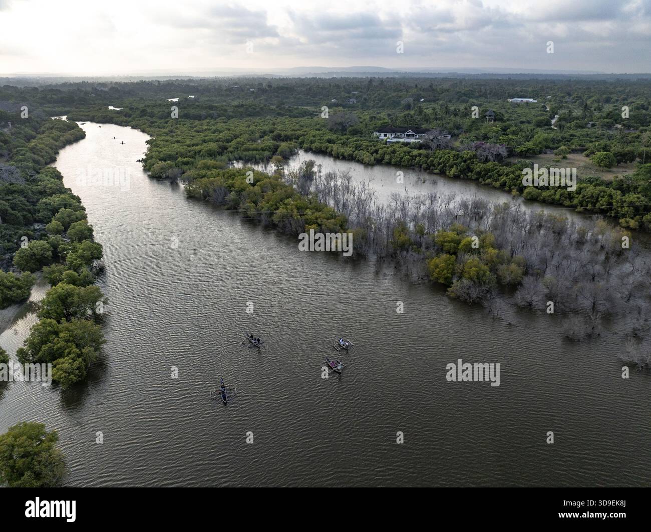 Aus der Vogelperspektive auf den sich windenden Fluss, der den bewölkten Himmel reflektiert, flankiert von dichten Mangrovenwäldern und verstreuten Gebäuden, Diani, Kwale County, Kenia. Stockfoto