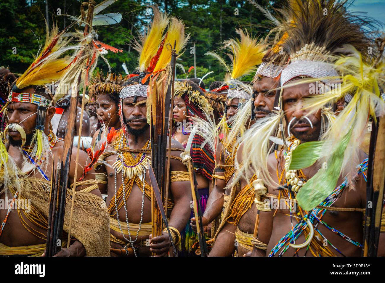 Indigene Papua-Männer in traditioneller Stammeskleidung, mit Paradiesfedern und Nasenpiercings, während eines Kulturfestivals in Indonesien. Stockfoto