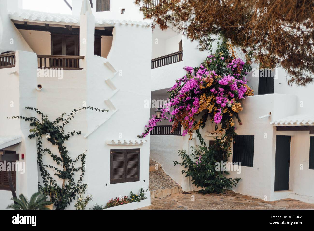 Weiß getünchte Häuser mit Bougainvillea in Binibeca Vell, Menorca Stockfoto