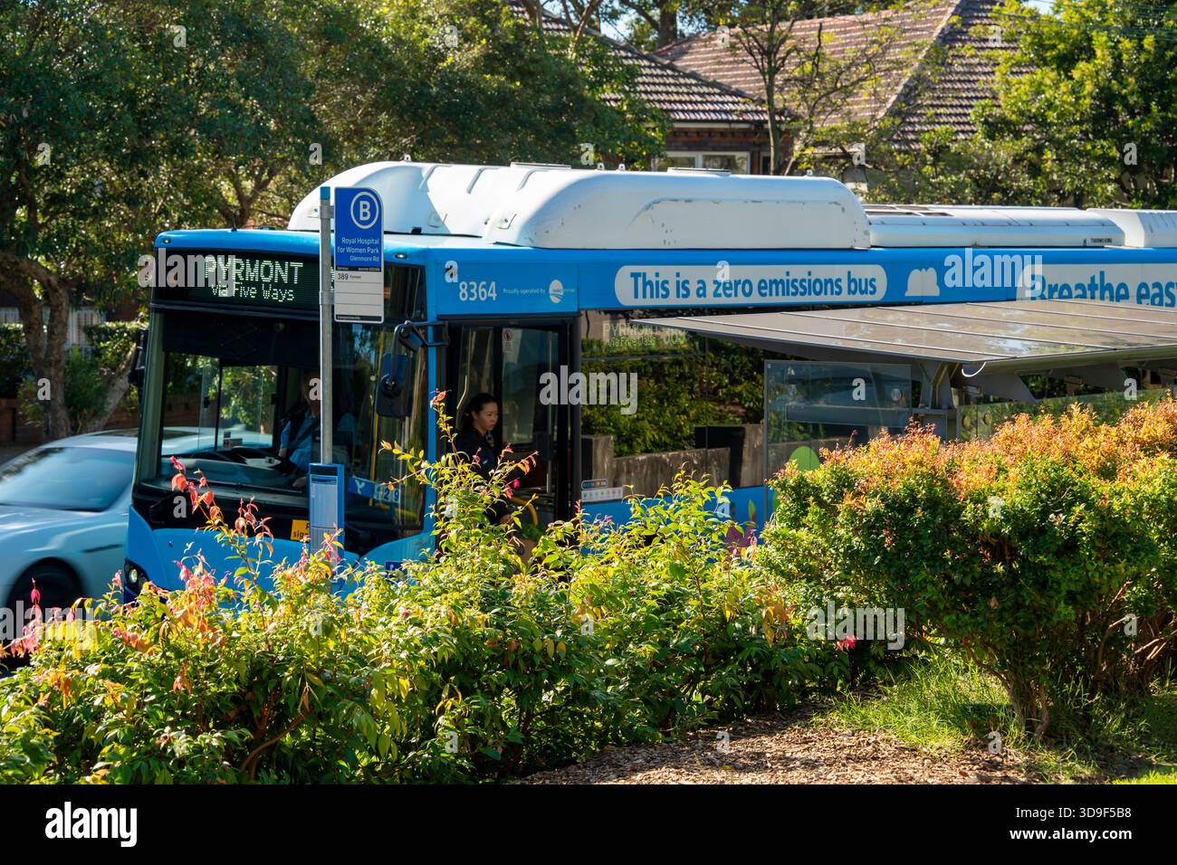 Ein Elektrobus in Sydney Australien auf seiner Vorortstrecke durch Paddington in Sydney Australien Stockfoto